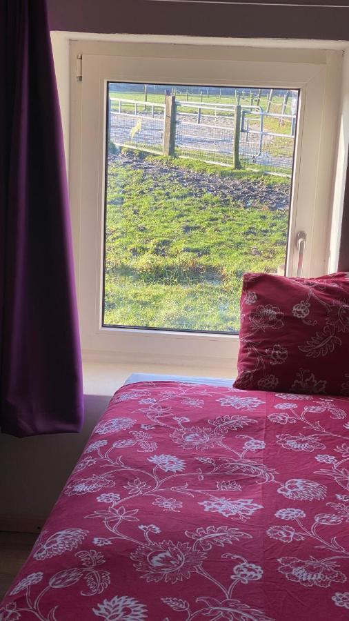 The Horse Farm Bed and Breakfast Garnwerd Exteriör bild