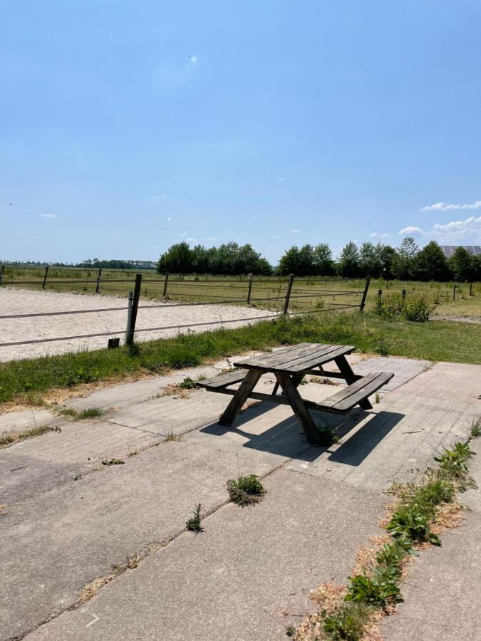 The Horse Farm Bed and Breakfast Garnwerd Exteriör bild